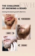 Масло для бороды FWH Beard Oil Sandalwood, 30 мл - изображение 5