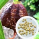 Перец острый Carolina Reaper Chocolate семена (5 шт) Каролина Рипер шоколад каролинский жнец чили суперхот до 2 200 000 SHU - изображение 1