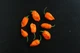 Перец острый Habanero Orange семена (5 шт) оранжевый Хабанеро чили суперхот до 350 000 SHU - изображение 8