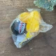 Декоративный аксессуар Crazy Duck желтая утка на торпеду в авто с оружием в шлеме - изображение 8