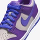Кроссовки подростковые Jordan Dunk Low 37.5 Комбинированный FB9109-007 - изображение 7