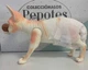 Іспанська вінілова лялька DESTOYS Sphynx 30 см - зображення 6