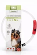 LED-нашийник для собак Zoofari (USB-C, водозахист IP44) - изображение 1