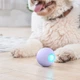 Умный мячик для собак Cheerble Wicked ball PE C0722 Purple [150923] - изображение 6