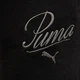 Спортивные шорты женские Puma Ess Script High-Waist Shorts 5" 68498401 XS Black (4067983502910) - изображение 9