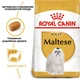 Сухой корм Royal Canin Maltese Adult для собак породы Мальтийская болонка 0.5 кг - изображение 4