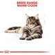 Сухой корм Royal Canin Maine Coon Adult для котов породы мейн-кун от 15 месяцев 10 кг - изображение 3