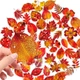 Набор наклеек Осенние листья Autumn Leaves 50 шт - изображение 2