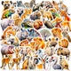 Набор наклеек Дикие животные Wildlife 50 шт - изображение 1