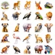 Набор наклеек Дикие животные Wildlife 50 шт - изображение 4