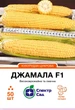 Кукурудза сахарна Спектр Сад Джамала F1 50 шт - зображення 1