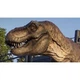 Игра Jurassic World Evolution 2 для PS5 (RU) [71517] - изображение 2