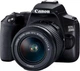 Зеркальный фотоаппарат Canon EOS 250D Kit EF-S 18-55mm f/3.5-5.6 III (3454C009) [83557] - изображение 2