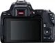 Зеркальный фотоаппарат Canon EOS 250D Kit EF-S 18-55mm f/3.5-5.6 III (3454C009) [83557] - изображение 3