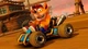 Гра Crash Team Racing Nitro-Fueled для PS4 (EN) (88388EN) [103653] - зображення 3