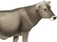 Коричневая швейцарская корова Safari Ltd - изображение 4