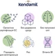 Безмолочна каша Kendamil Organic Рисова для дітей з 4-6 місяців 120 г (92000154) - зображення 5