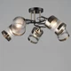 Люстра потолочная Light House SR-20389/5 BK+AB D580*H250 E27 черный + бронза - изображение 1