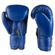 Боксерські рукавички на липучці Everlast розмір 6 oz штучна синя шкіра EVDX380-6B - зображення 5
