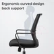 Кресло офисное эргономичное Deli 4501 Staff Chair Черное (6941798404394) - изображение 3