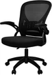 Крісло офісне ергономічне Deli 4504 Staff Chair Чорне (6941798404424) - зображення 1