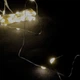 Світлодіодна гірлянда-нитка прозорий дріт 50 LED Magic Lights на батарейках 5 м теплий білий (RZN-23100695) - зображення 1