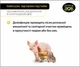 TEKROCLEAN, підсушувач підстилки, DVOREK 1 кг (TK_1) - зображення 8