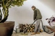 Хозяйственный пылесос Karcher WD 3 V-17/4/20 1.628-130.0 - изображение 4