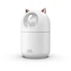 Компактный увлажнитель воздуха H20 8023 CAT с ультразвуковым распылением (971) - изображение 1