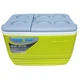 Термобокс Pinnacle Eskimo 57 л салатовий (0682622060053_1) - изображение 2