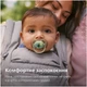 Пустушка Philips AVENT Ultra Air 6-18 місяців 2 шт зелено-бежева (SCF087/17) - зображення 7