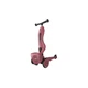 Самокат Scoot&Ride Highwaykick-1 Lifestyle вишневий (SR-210621-WILDCAT) - зображення 1