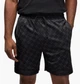 Шорты Air Jordan Sport Dri-Fit Printed Diamond Black HQ8663-010 S - изображение 1
