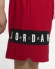 Шорты Air Jordan Dri-Fit Air Mesh Graphic Shorts Red CZ4771-687 L - изображение 4