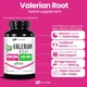 Добавка преміум-класу для релаксації та покращення сну Healthfare Valerian Root Extract 3000mg 240 капсул - зображення 2