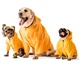 Дождевик Noble Pet Moss Yellow M4108/XL-Short (00001373) - изображение 20
