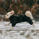 Комбинезон Noble Pet Travis T4123/XL Khaki (00002240) - изображение 10