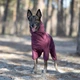 Комбинезон Noble Pet Travis T4124/M Grayish Red (00002301) - изображение 9