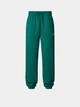 Брюки женские The North Face Essential M зелений NF0A8A6KNL11 - изображение 2