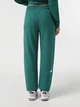 Брюки женские The North Face Essential M зелений NF0A8A6KNL11 - изображение 5