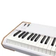 Синтезатор Arturia AstroLab 88 - изображение 5