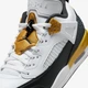 Кроссовки мужские Jordan Spizike Low 41 Білий FQ1759-108 - изображение 14