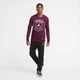 Кофта мужская Jordan X Psg Longsleeve XS Бордовий CK9781-610 - изображение 6