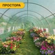 Усиленная теплица LEOBRO оцинкованная сталь 36 м² зеленая (701689) - изображение 9