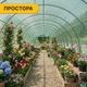 Усиленная садовая теплица-парник LEOBRO Garden 36м2 Green (LB-G128-GRN) - изображение 8
