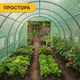 Садовая теплица парник LEOBRO усиленная Garden 24м2 Green (LB-G124-GRN) - изображение 8