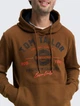 Худи Tom Tailor 1043292 L Коричневая - изображение 3