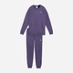 Спортивный костюм женский Puma Relaxed Sweat Suit Tr Cl 69190064 XS Deep Plum (4069161983702) - изображение 4