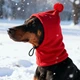 Шапка для собак "YOKKI" Red Size S - изображение 3
