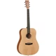 Акустична гітара TANGLEWOOD TR5 - зображення 1